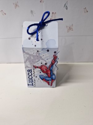 Caixa milk homem aranha